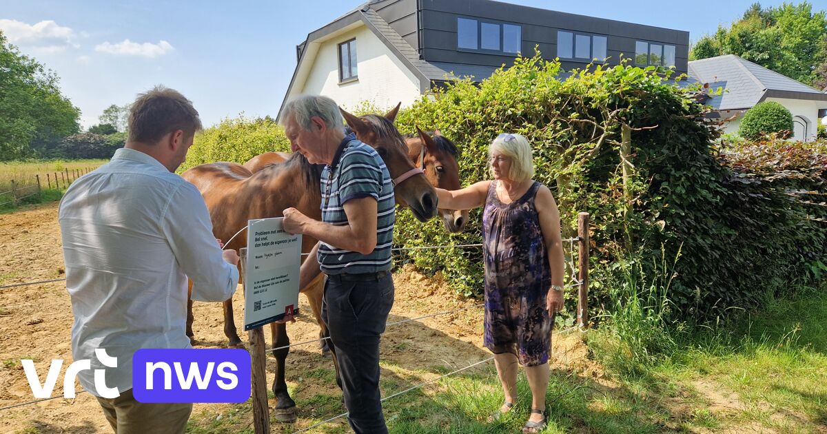 Borden met contactgegevens in Antwerpse weiden om dieren in nood te helpen