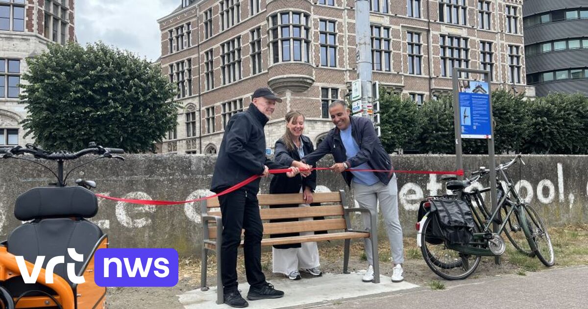 Stad Antwerpen en Vogelbescherming Vlaanderen zetten banken om gierzwaluwen te spotten aan Het Steen