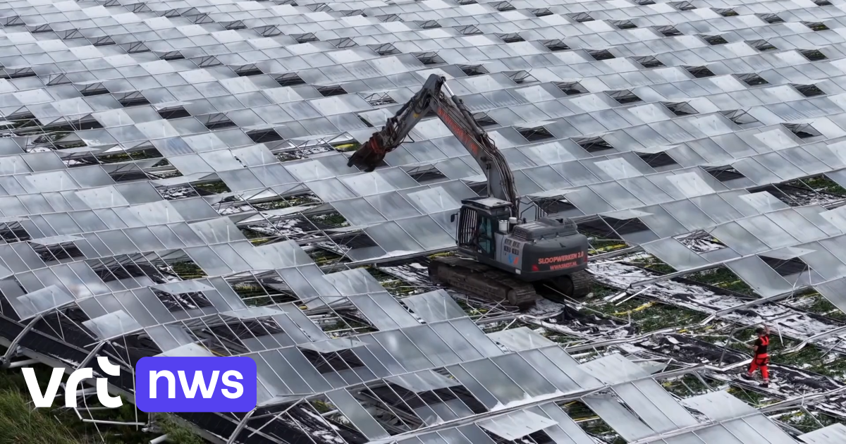 Serre van 9 hectare ingestort in Nederland: 20 miljoen euro schade, maar geen gewonden