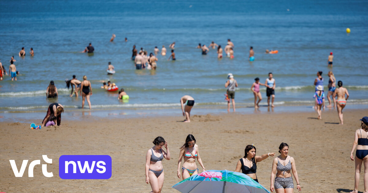 More foreign tourists on the Flemish coast this summer