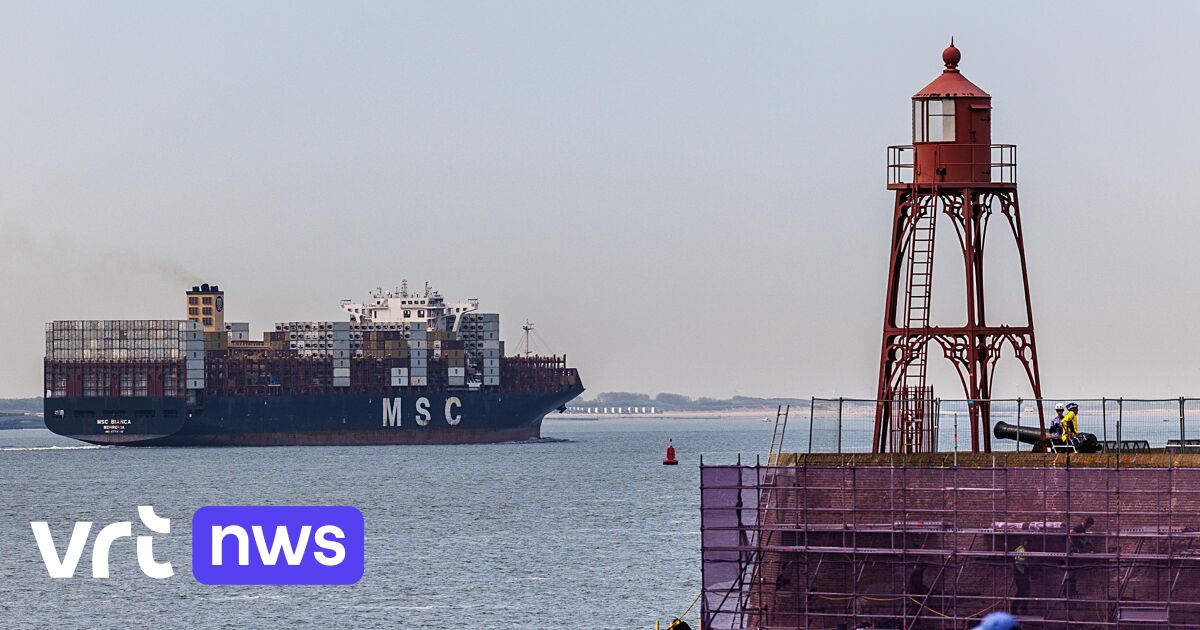 Belgian industry feels the impact of US tariffs on EU imports