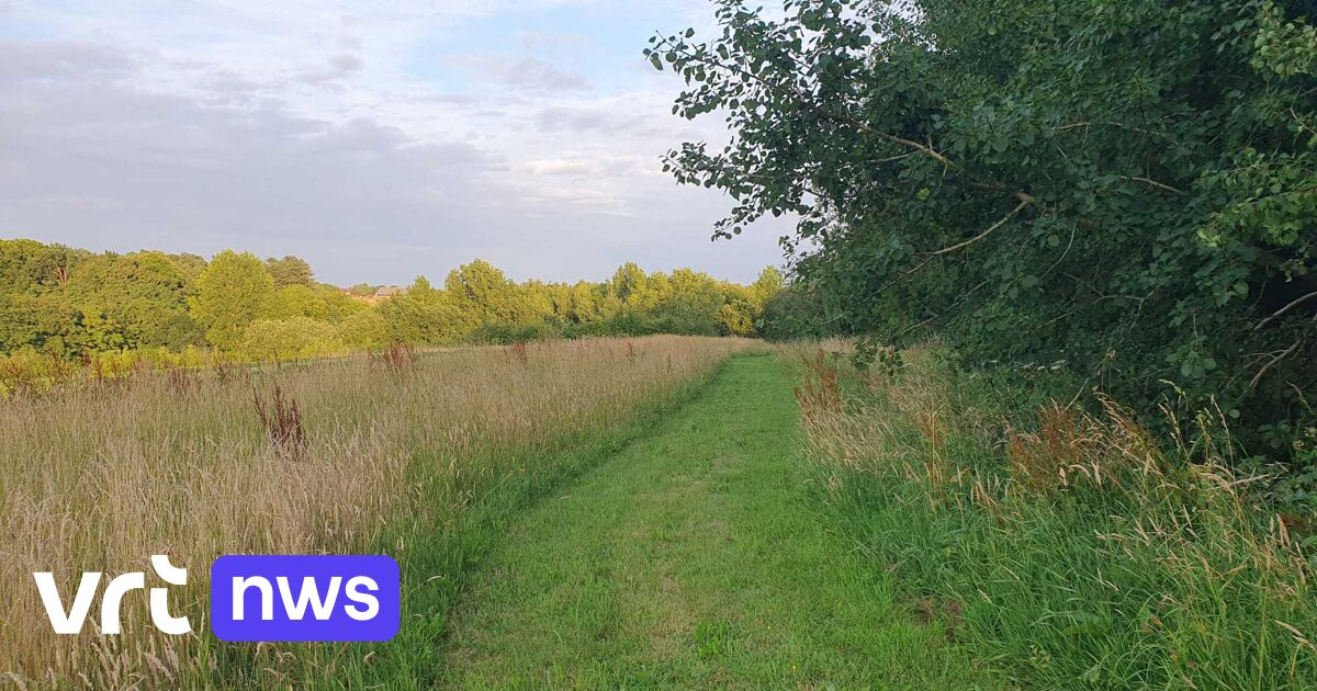 Jonge gravin uit Huldenberg staat voor raadsel: 