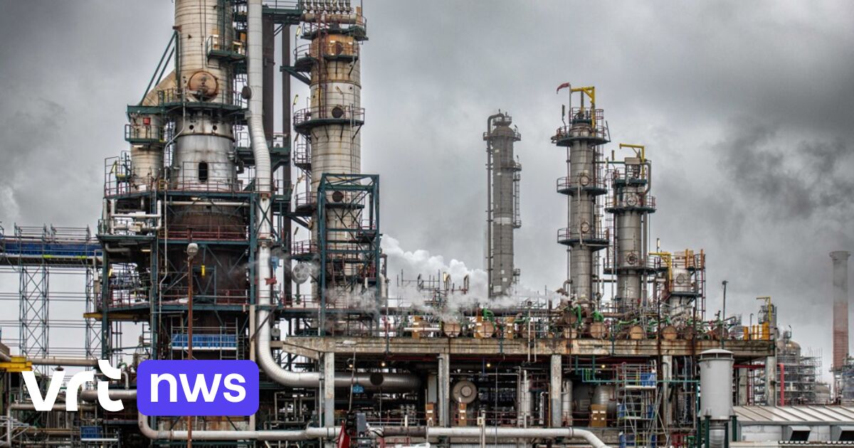 5 essential steps for Belgian industry to achieve climate targets and survive
