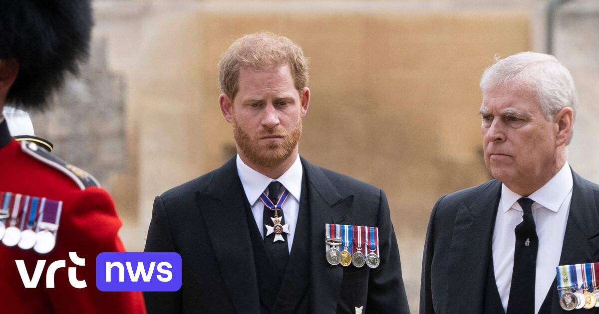 Britse prins Harry ontkent beweringen in nieuw boek: "Oom Andrew geen bloedneus geslagen"