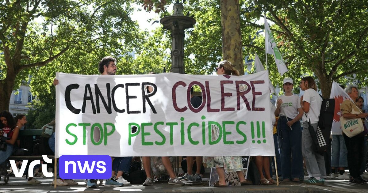 Frankrijk: Miljoenen Handtekeningen en Gerechtelijke Overwinning – Controversieel Insecticide Acetamiprid Verboden!
