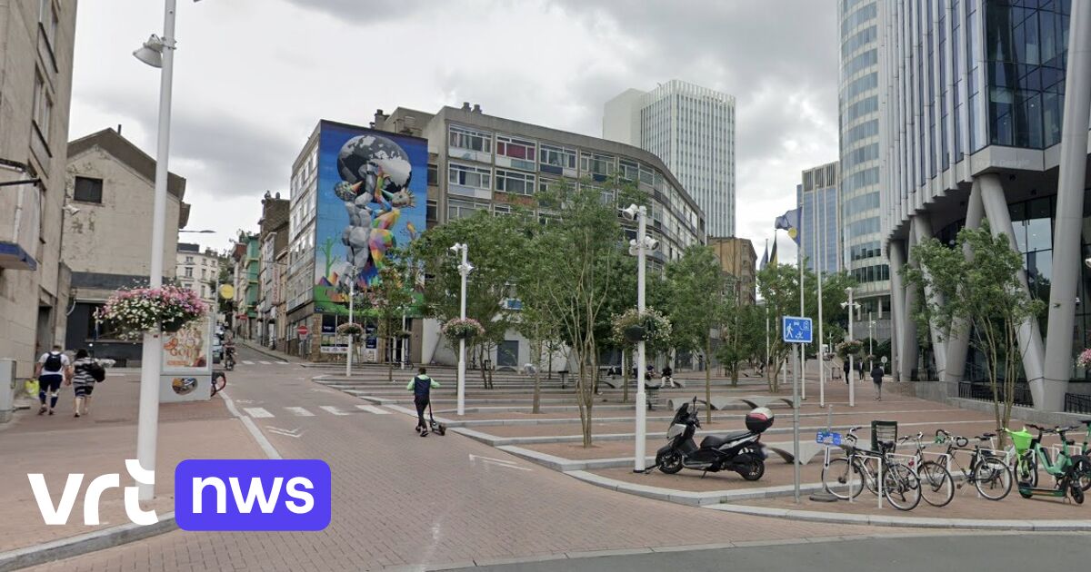 Steekpartij in Sint-Joost-ten-Node, 1 persoon gewond aan de rug