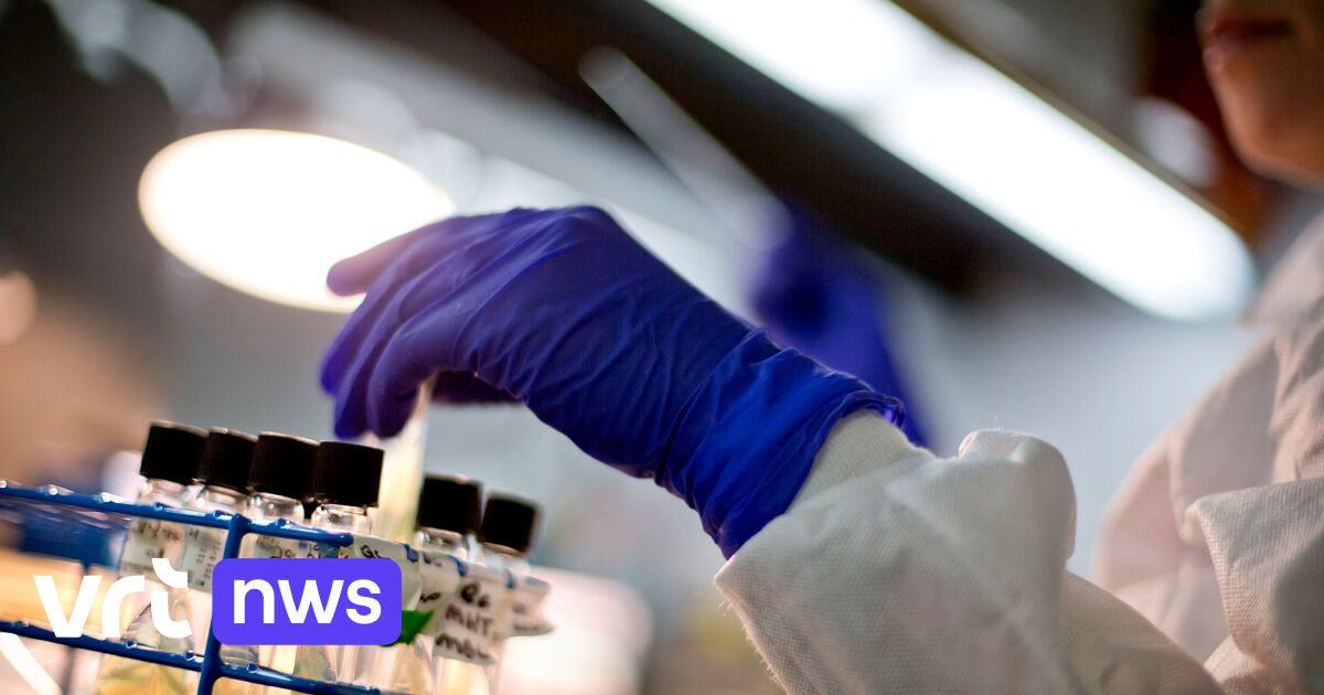 Antibiotic Resistance Breakthrough: Flemish Researcher Offers Hope - News Directory 3