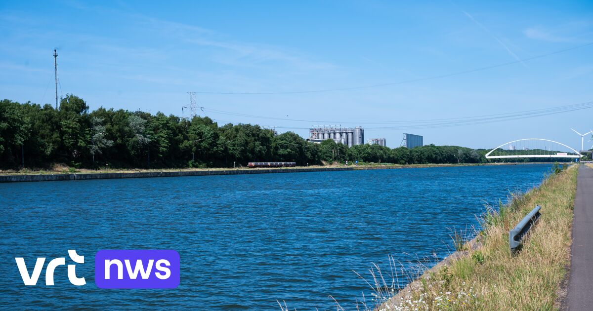 Oil Leak in Albert Canal: 10,000 Liters Spilled in Olen - News Directory 3