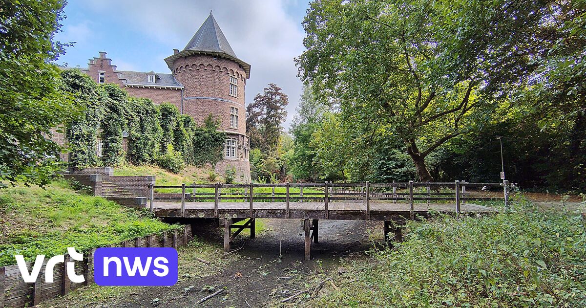 Vissen sterven door lage water aan Prinsenhof in Kuringen: 