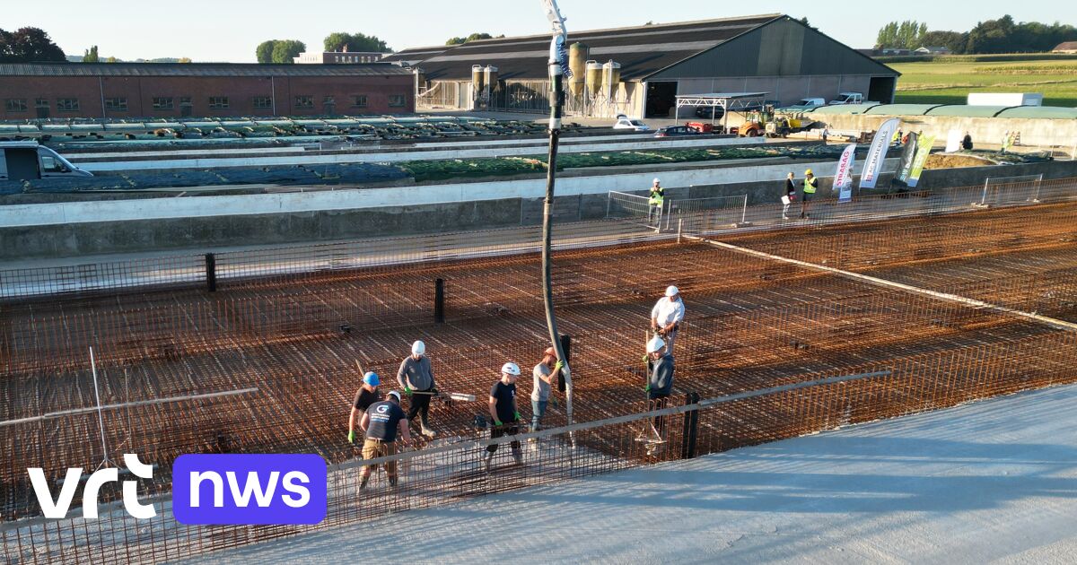 70 procent minder CO2-uitstoot en (hopelijk) 3 keer langer houdbaar: ILVO bouwt silo's uit cementloos beton in Merelbeke-Melle