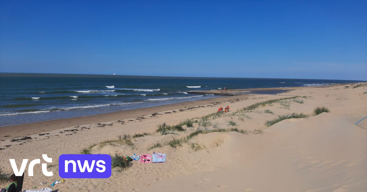 Spontaneous dune formation is protecting the
Flemish coast against storms