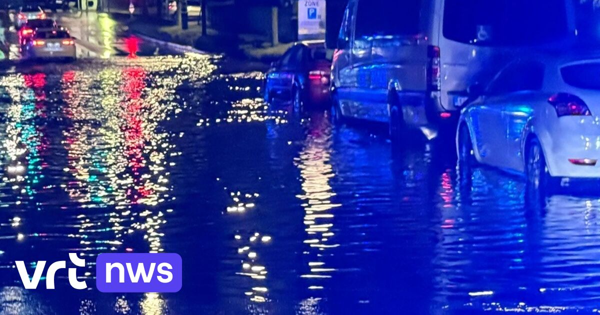 Brusselse brandweer moet 84 keer uitrukken voor wateroverlast en omgevallen bomen