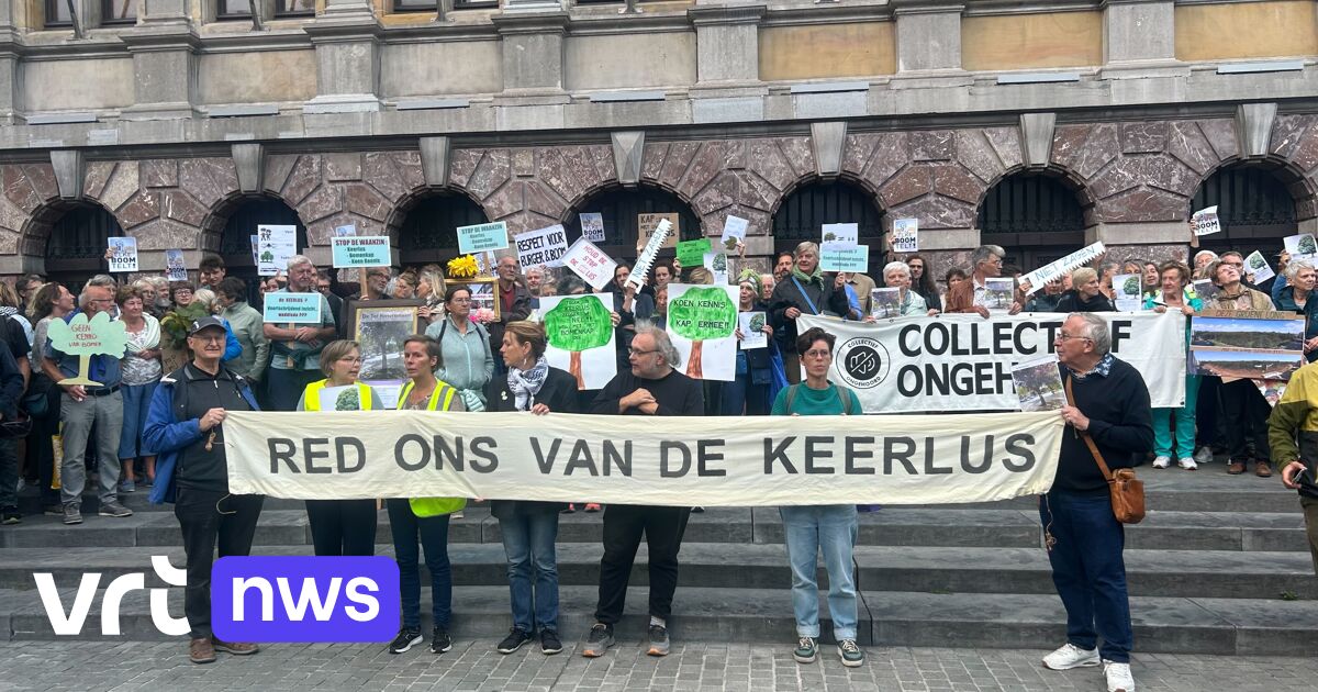 Omstreden keerlus in Deurne dubbel zo duur voor De Lijn als oorspronkelijk gedacht: 