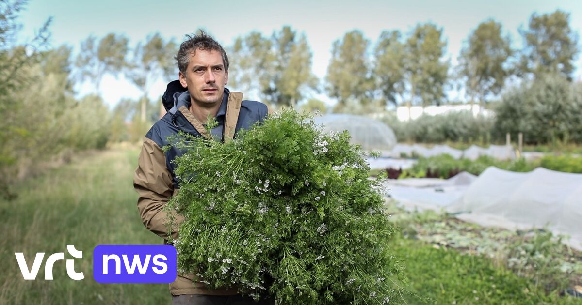 Lieven Devreese uit Westkapelle verkozen tot beste bioboer van Europa dankzij samenwerking met zieke