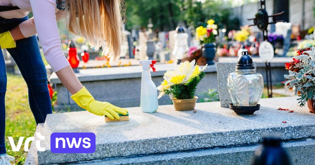 Al 180 aanvragen voor wijkwerkers die graven schoonmaken in Maasland: "Belangrijk kort voor Allerhei