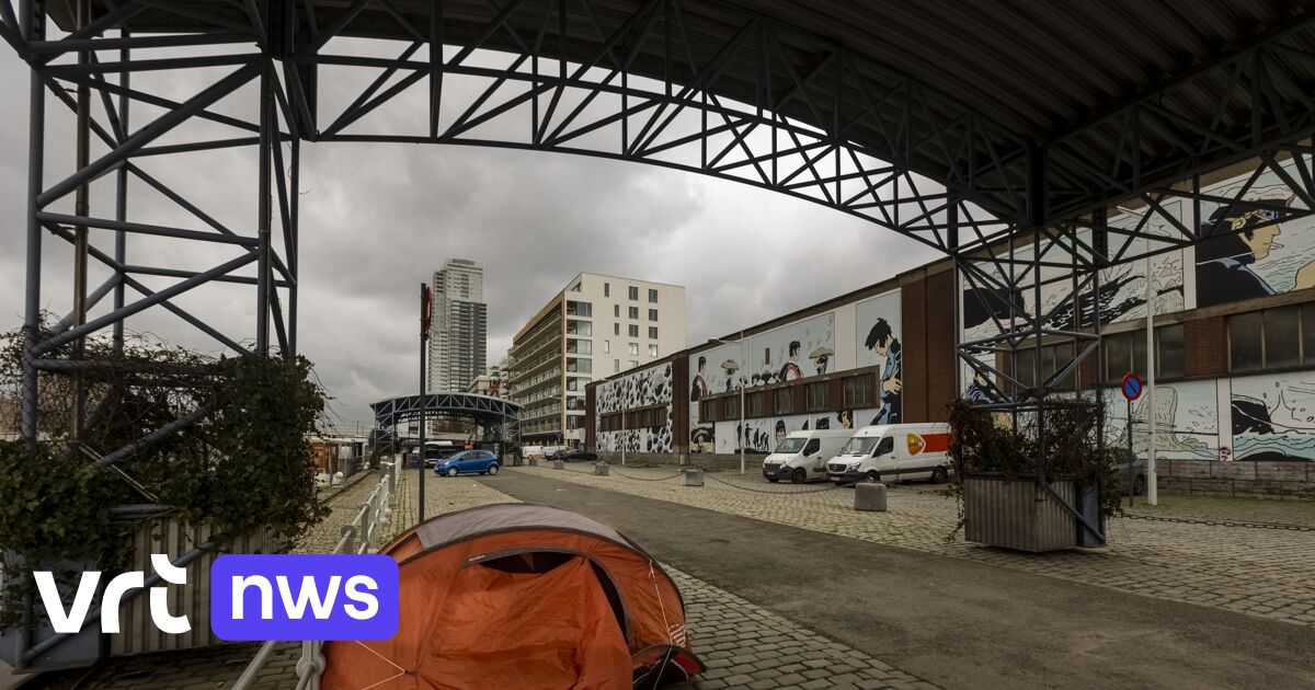 Belgium must pay damages to four asylum-seekers, says European Court of Human Rights