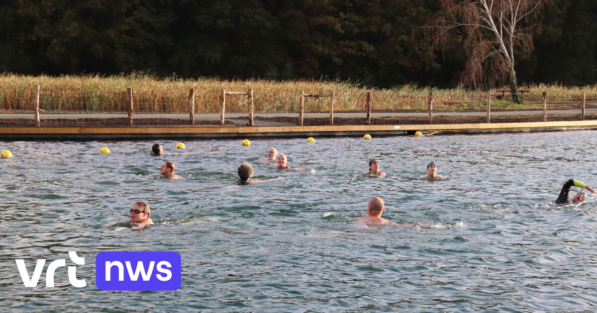 Aarschotse zwemclub keert terug naar de roots in Park Schoonhoven met 1e ijsberenduik