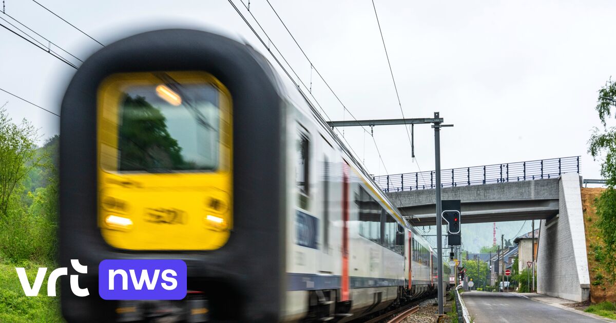 Grote werken aan het spoor in Limburg en dat zal je voelen: heel wat treinen rijden niet