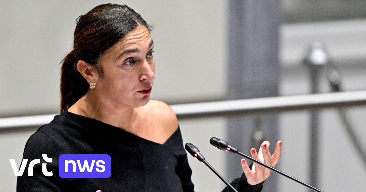 Grote Hasseltse scholenfusie moet herbekeken worden volgens minister Demir: "Onvoldoende overleg met