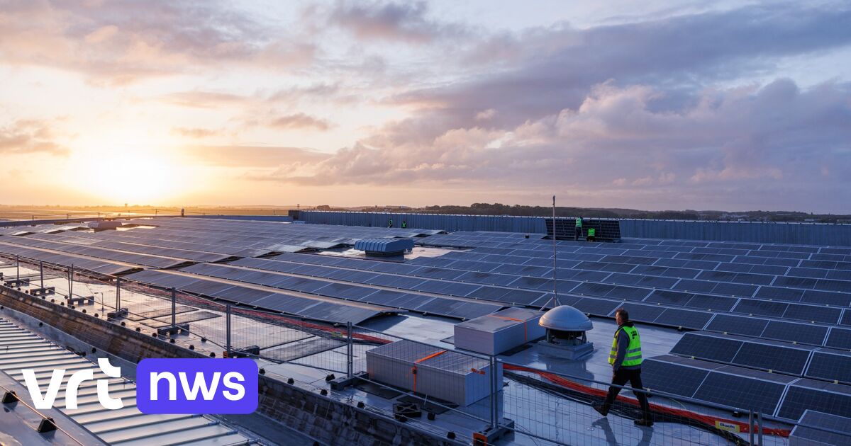 Special solar panels needed near Brussels Airport to ensure pilots are not blinded