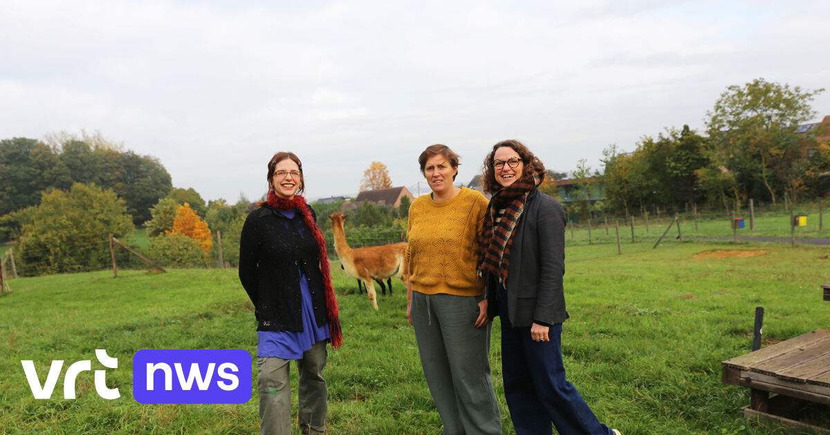 Snoezelboerderij in Dilbeek vanaf nu open voor iedereen
