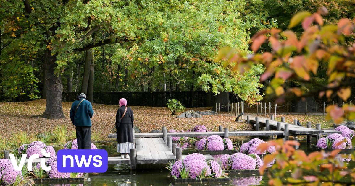Chrysantenfestival in Japanse tuin Hasselt in het teken van vergankelijkheid