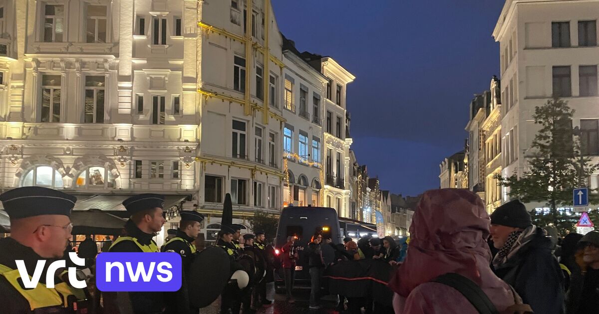 Polizei löst pro-palästinensische Demonstration in Antwerpen mit harter Hand auf