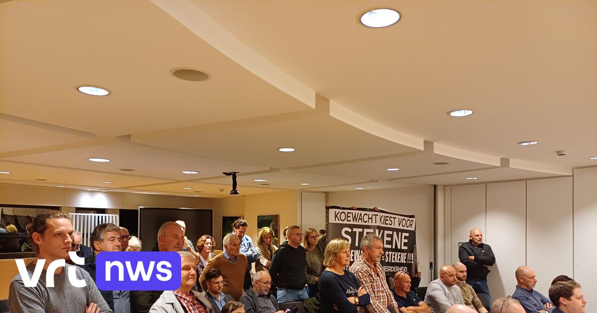 Gemeenteraad Lokeren wijst grenscorrectie voor Koewacht af: deel inwoners plant nieuwe acties