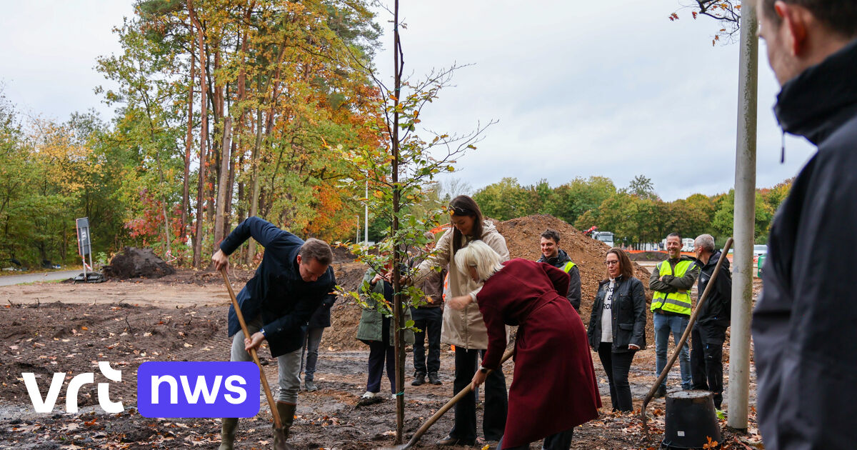 Domein Kiewit wordt toegangspoort naar vijvergebied De Wijers: "Beukendreef wordt groene verbinding