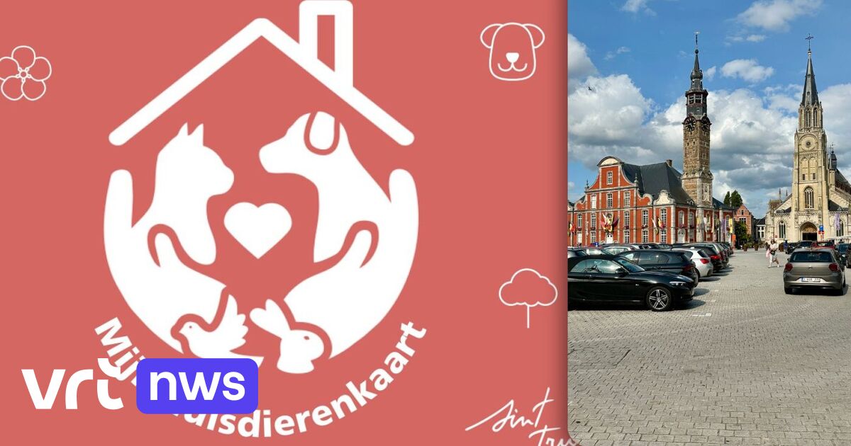 Sint-Truiden biedt gratis huisdierenkaart aan, Hasselt legt verantwoordelijkheid bij inwoners