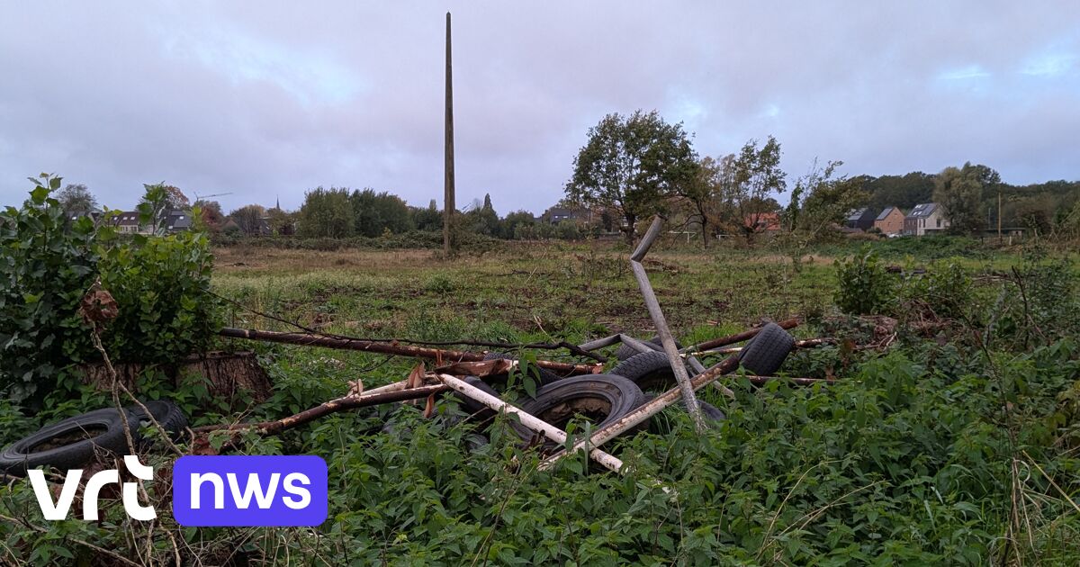 Grondige schoonmaakactie op Zevenhuizen in Lint: "Autobanden van vroeger BMX-terrein en betonplaten