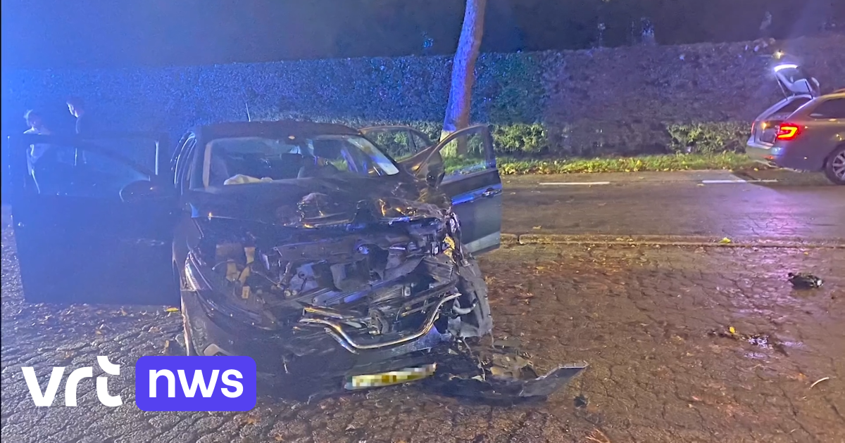 Autobestuurder rijdt in op alcoholcontrole in Borgloon: 1 politieagent zwaargewond, 5 anderen lichtg