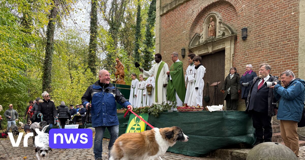 Sint-Hubertusviering in Tervuren brengt ruiters en hondenbaasjes samen voor jaarlijkse zegening