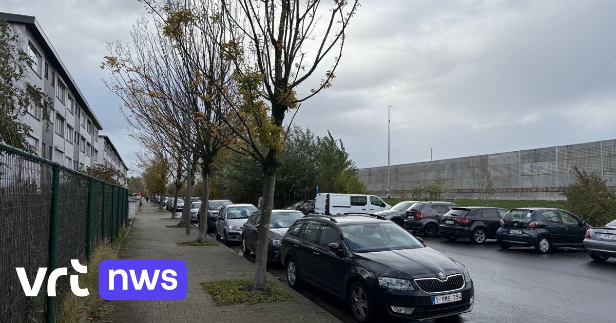 Inwoners Bergen op Zoomlaan in Merksem ervaren weinig lawaai door nieuwe bypass, wel zorgen om uitzi