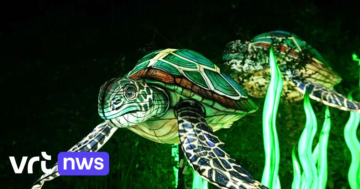 Im Zoo von Antwerpen entführt das chinesische Lichterfest in eine magische Unterwasserwelt
