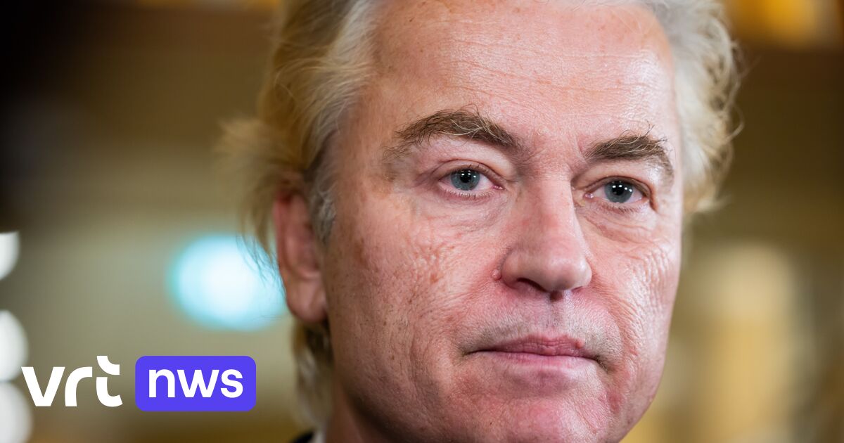 Hoe verloor Wilders (PVV) een kwart van zijn kiezers? Drie verklaringen ...