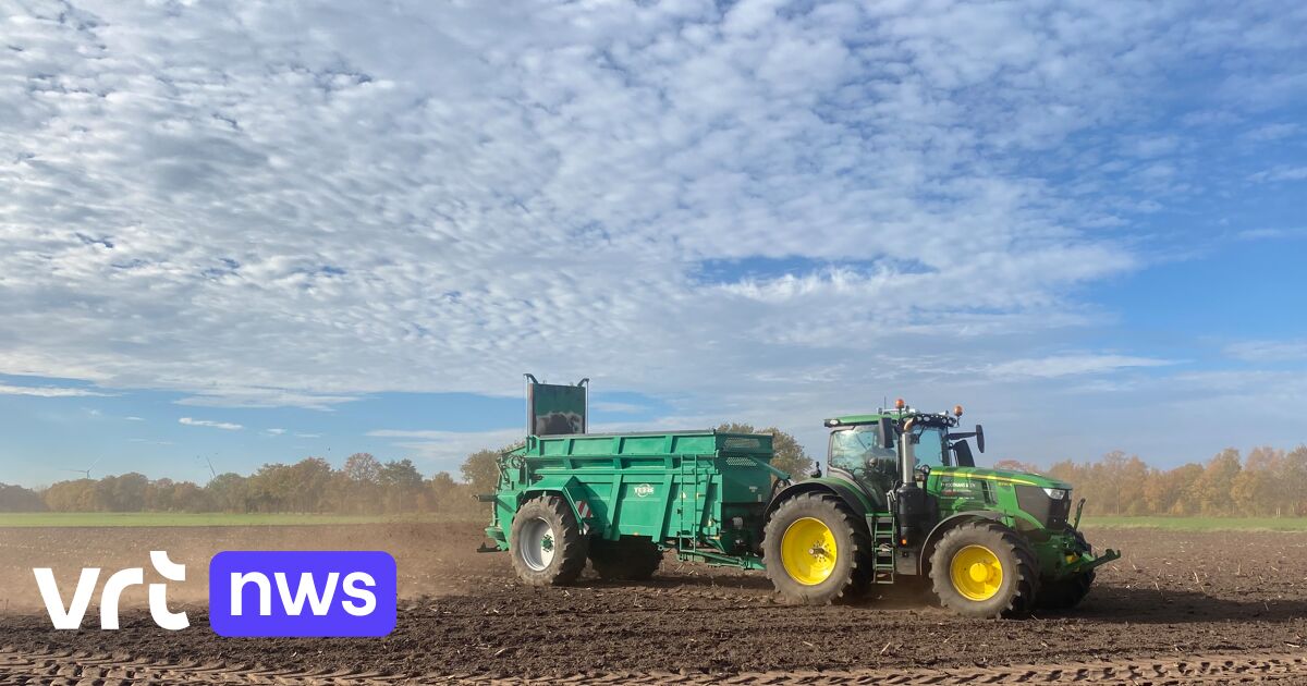 Pelt est la première commune de Flandre à tester une nouvelle technique agricole avec des copeaux de bois | VRT NWS: le site d’information de référence