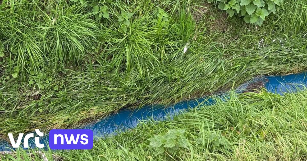Beken en grachten in Beselare kleuren blauw nadat inwoner gemorste verf wegspoelt