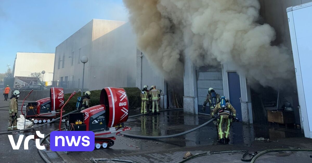 Brand in loods in Ganshoren: brandweer nog hele nacht in de weer