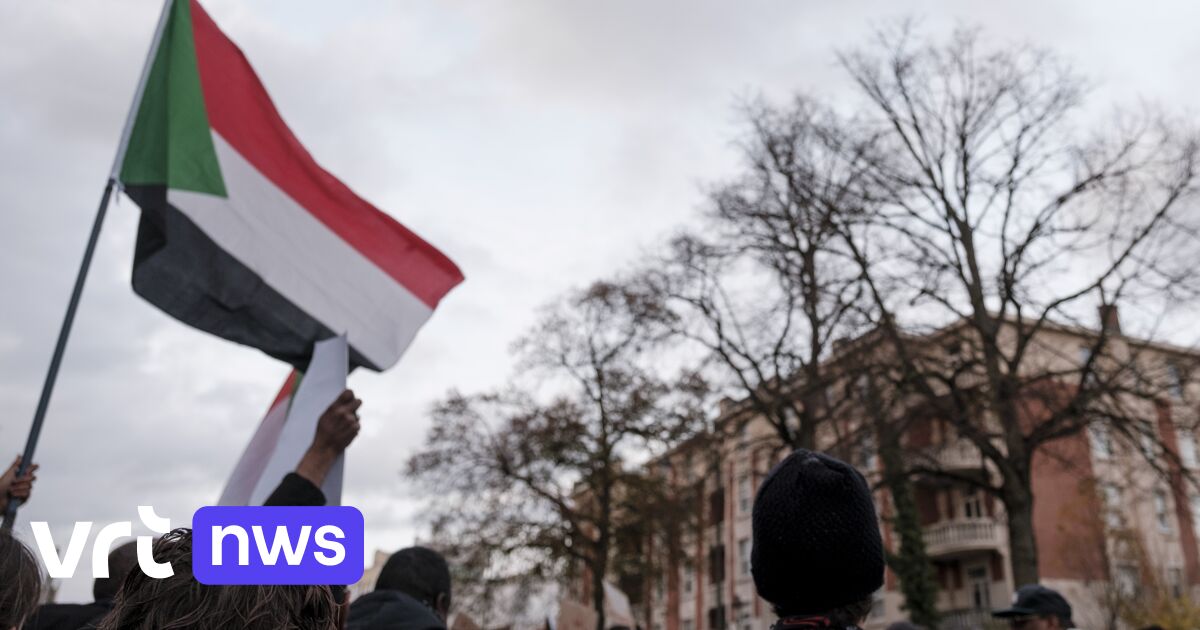Honderden betogers voeren actie aan ambassade van Verenigde Arabische Emiraten tegen massaslachtingen in Soedan