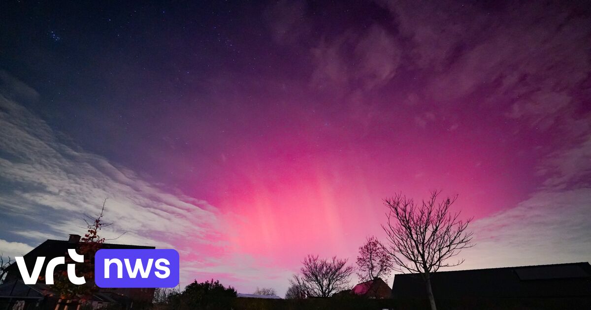 Nordlichter färbten den Himmel auch in Belgiens Norden rosa