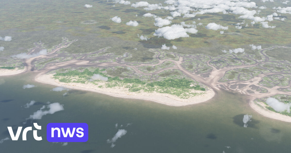 "Testerep", die verschollene Insel vor der belgischen Küste, vollständig kartiert: "Unsere Küste ist verletzlicher als wir denken"