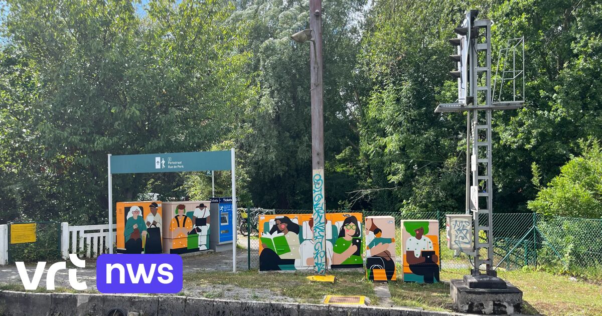 Kleurrijke schilderingen moeten vandalisme verhinderen op nutskasten aan treinstations in Ukkel, Lin
