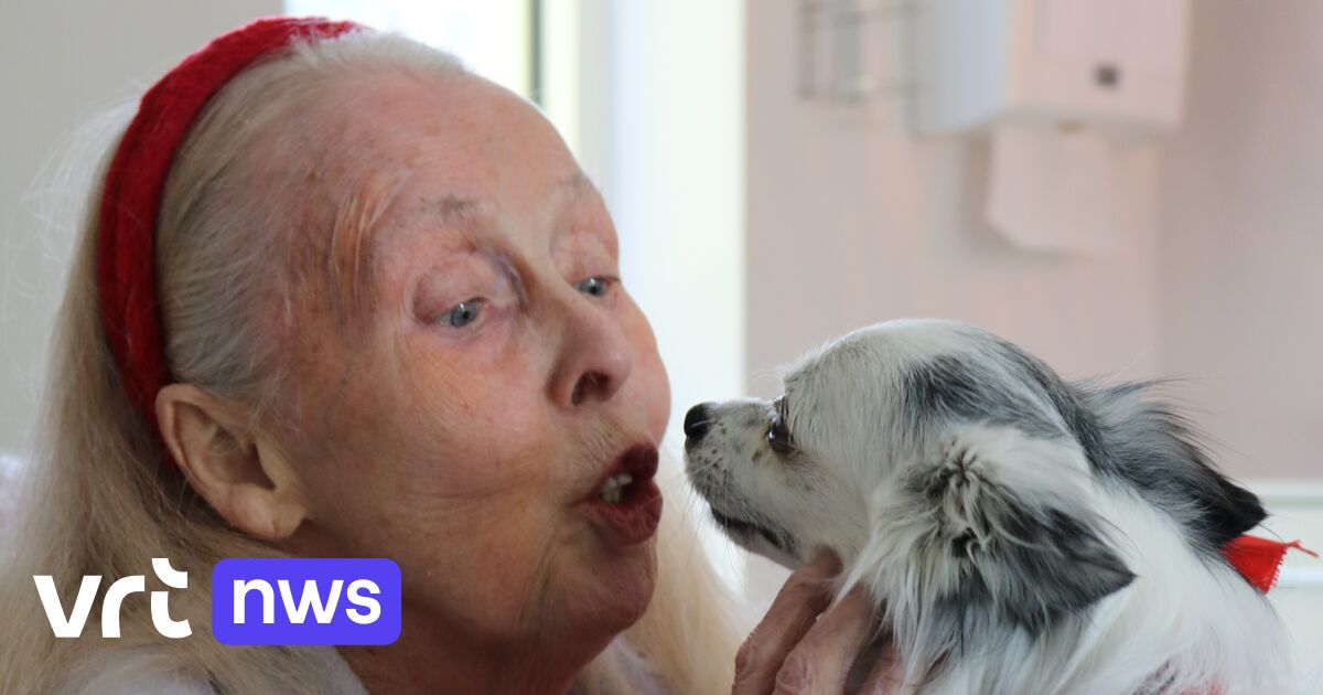 'Samson on Wheels' brengt therapiedieren vanuit Jette naar zorgcentra in de buurt: 