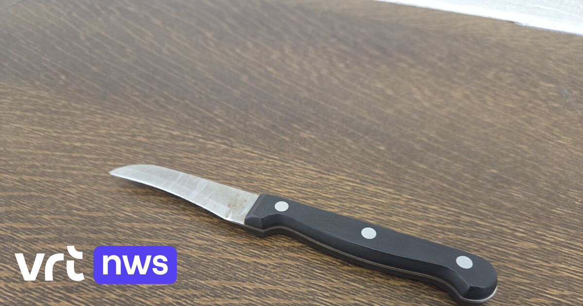 Vrouw uit Beringen steekt ex met aardappelmesje en krijgt 2 jaar cel met uitstel