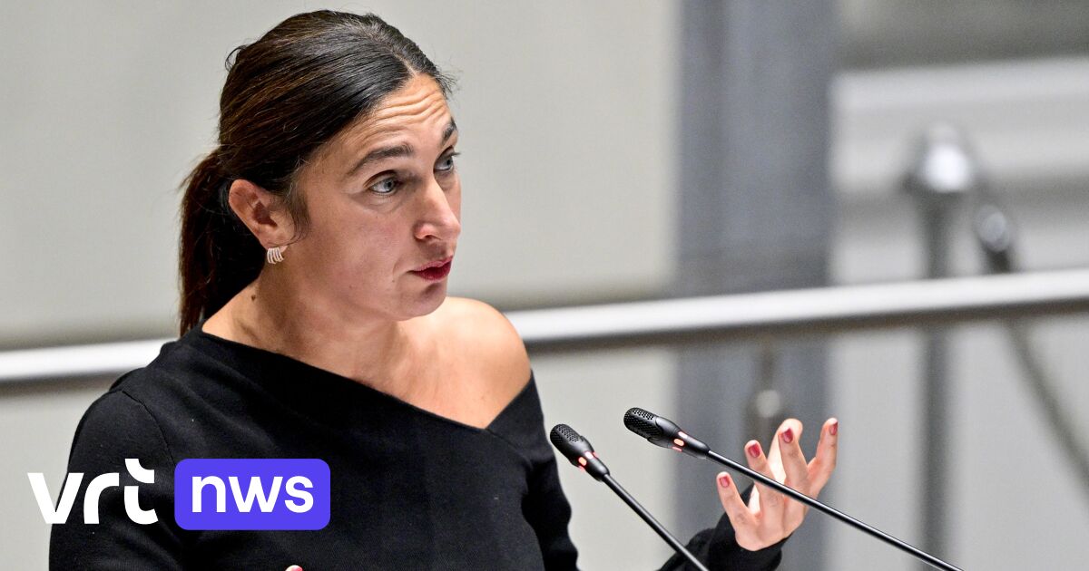 Demir Veegt Expertisecentrum Aanbesteding Weg: Vriendjespolitiek? - financiën news from VRT