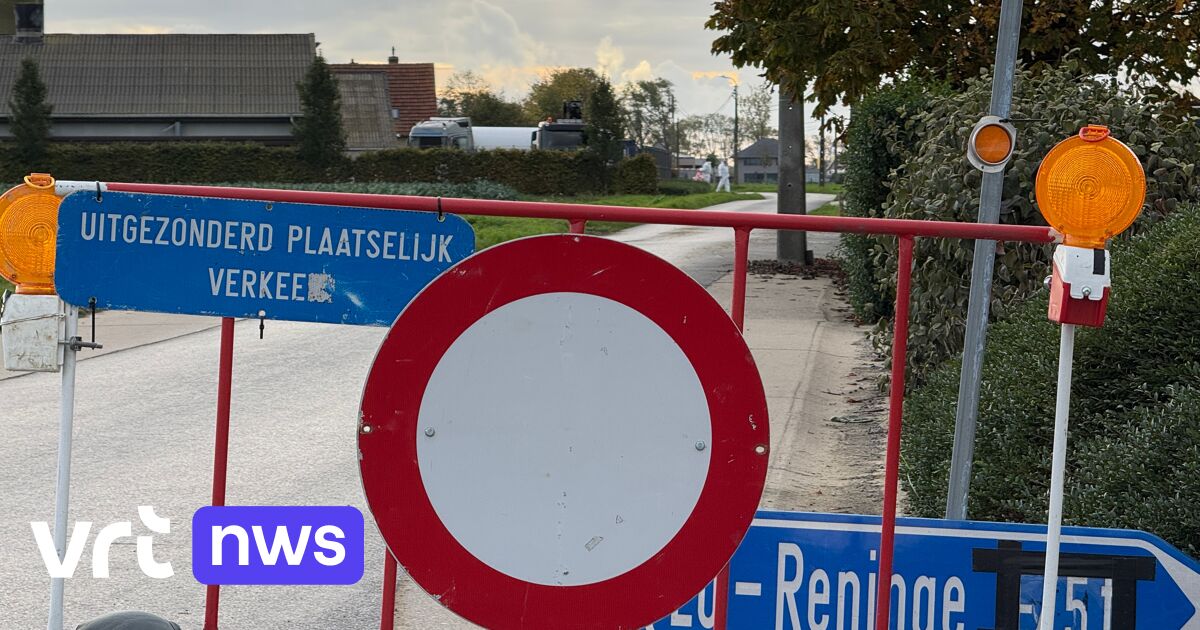 "Tote Vögel nicht anfassen": Das flämische Gesundheitsamt warnt nach 9 Ausbrüchen vor der Vogelgrippe.