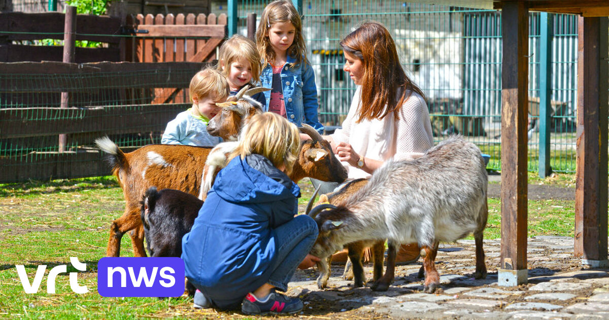 Gent besteedt schoolhoeve uit voor minder geld, overnemer hoeft er geen dieren te houden