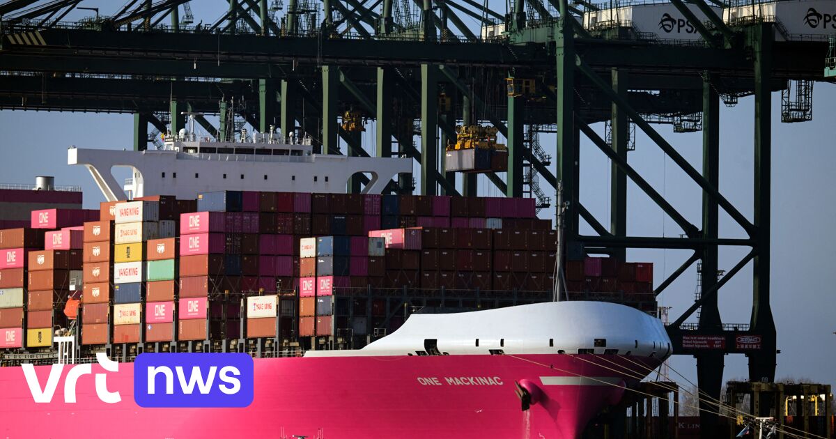 Zoektocht naar verstekelingen in container op schip in Waaslandhaven ...