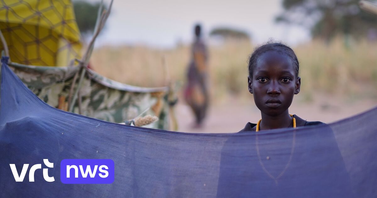 Rebellengroep RSF kondigt in Soedan eenzijdig humanitair staakt-het-vuren van 3 maanden aan
